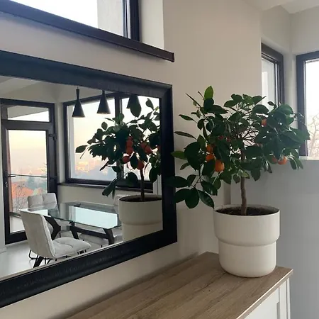 בית הארחה House Of Art 3*