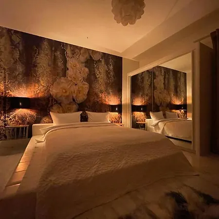 House Of Art 브라쇼브