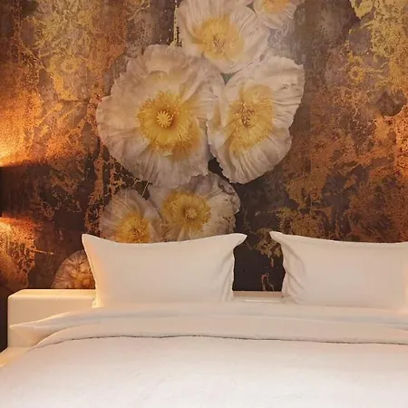 House Of Art 브라쇼브