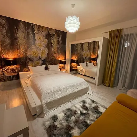 House Of Art 게스트하우스 브라쇼브