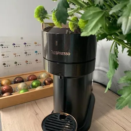 게스트하우스 House Of Art