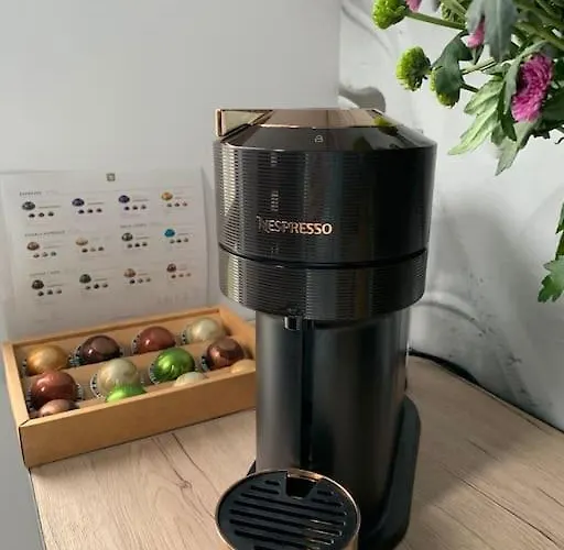 Гостевой дом House Of Art Брашов