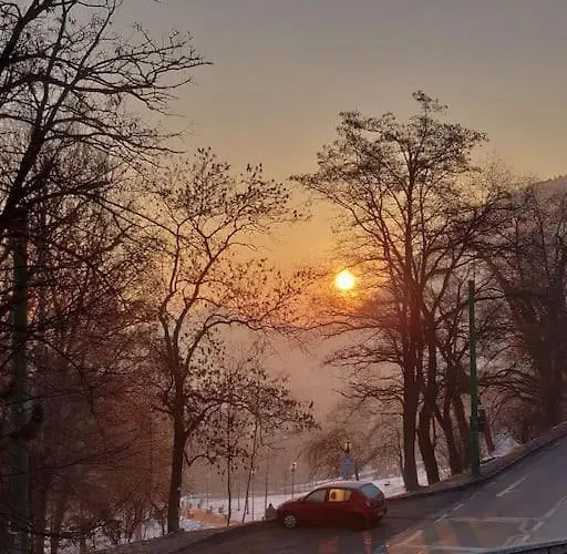 House Of Art Гостевой дом 3*